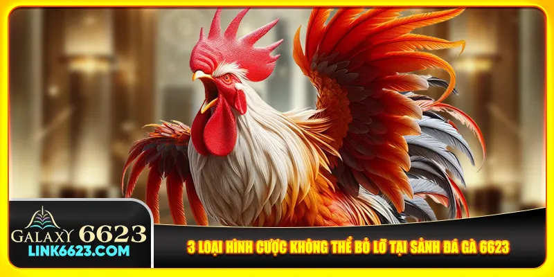 3 loại hình cược không thể bỏ lỡ tại sảnh đá gà 6623 3 loại hình cược không thể bỏ lỡ tại sảnh đá gà 6623