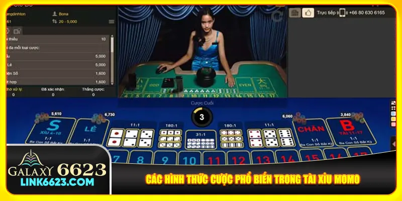 Các hình thức cược phổ biến trong tài xỉu momo Các hình thức cược phổ biến trong tài xỉu momo