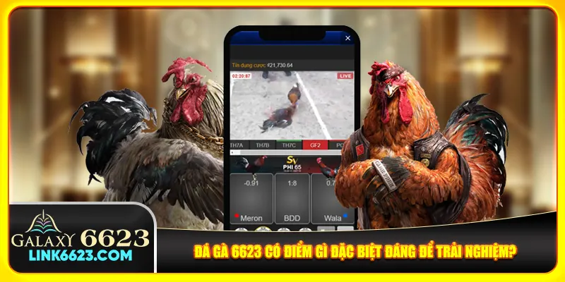 Đá gà 6623 có điểm gì đặc biệt đáng để trải nghiệm? Đá gà 6623 có điểm gì đặc biệt đáng để trải nghiệm?