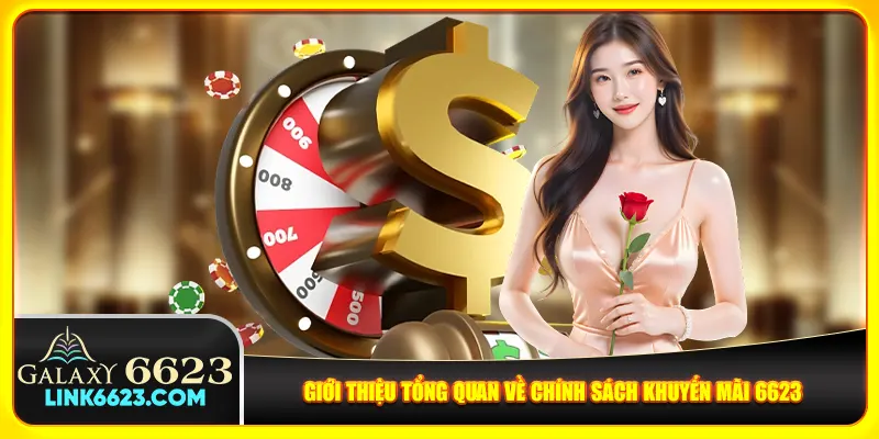 Giới thiệu tổng quan về chính sách khuyến mãi 6623 Giới thiệu tổng quan về chính sách khuyến mãi 6623