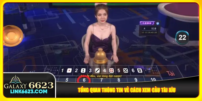 Tổng quan thông tin về cách xem cầu tài xỉu